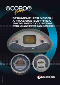 INSTRUMENT CLUSTERS FOR ELECTRIC VEHICLES