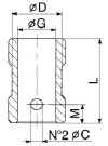 mozzo1_small.jpg